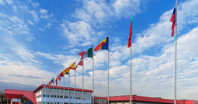 Alanno plant flags